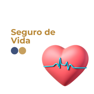 seguro de vida
